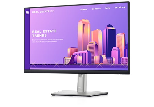 [DLP2422H-NOSTAND] Renewed Dell P2422H 23.8'' Widescreen 1920 X 1080 IPS ComfortView Plus Technology Monitor With 90 Days Warranty (No stand)