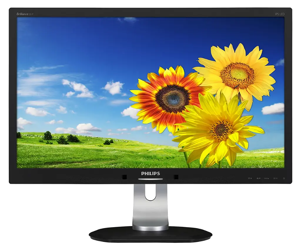 [PLS231P4Q-NoStand] Renewed Philips 231P4Q 23" Widescreen 1920X1080 IPS LED 16:9 Monitor With 90 Days Warranty (No stand)